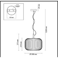 Подвесная люстра Odeon Light Roofi 4754/1