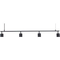 Подвесная люстра ST Luce Kendo SL1213.403.04