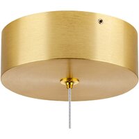 Подвесная люстра Lightstar Colore 805403