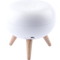 Ночник ЭРА NLED-467-1W-W