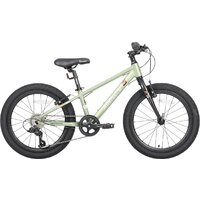 Детский велосипед Maxiscoo 5bike 20 M200 2025 MSC-M5-2011 (хаки)