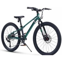 Велосипед Maxiscoo 7Bike 24 M500 2024 (изумруд)