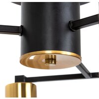 Люстра средней высоты Arte Lamp Leo A7027PL-6BK