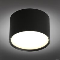 Спот Omnilux OML-100919-06