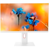 Моноблок ТЕСЛА P24WP 2416500