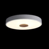 Светильник-тарелка LOFT IT Axel 10003/24 White