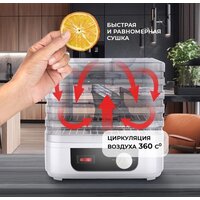 Сушилка для овощей и фруктов Hott HT-FD03