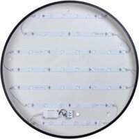Светильник-тарелка LOFT IT Axel 10002/48 Black