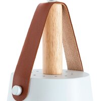 Светильник Arte Lamp Thomas A7032SP-1WH