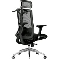 Офисное кресло Evolution FUSION Mesh (черный)