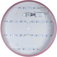 Светильник-тарелка LOFT IT Axel 10003/24 Pink