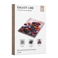 Кухонные весы Galaxy Line GL2819
