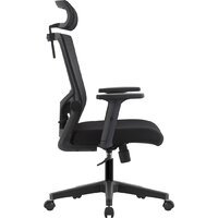 Офисное кресло Evolution ErgoLine 1 (черный)