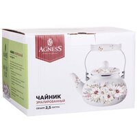 Чайник без свистка Agness Дворцовый парк 934-431