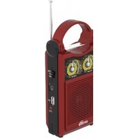 Радиоприемник Ritmix RPR-303