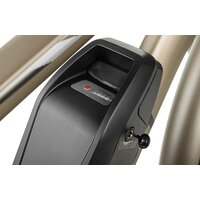 Электровелосипед MyWay Let 250 26 (бронзовый)