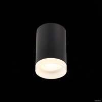 Припотолочная люстра ST Luce ST100.402.01