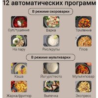 Мультиварка-скороварка Redmond (Редмонд) Fast Chef MP113
