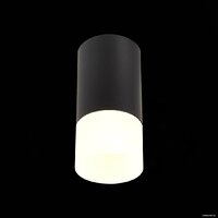 Припотолочная люстра ST Luce ST100.412.01