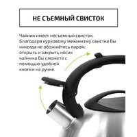 Чайник со свистком TimA WTK059