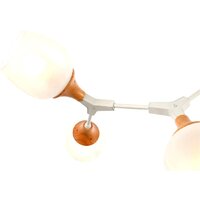 Люстра средней высоты Evoluce Ciotolla SLE113502-05