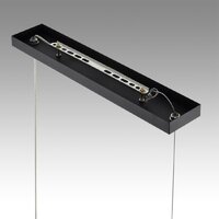 Подвесная люстра Lumion Lanika 8240/5