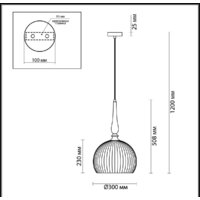 Подвесная люстра Odeon Light Runga 4766/1