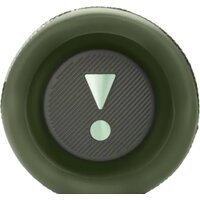 Беспроводная колонка JBL Flip 6 (камуфляж)