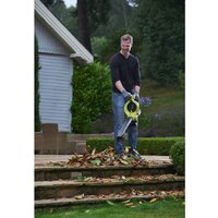 Садовая воздуходувка Ryobi RBV36B [5133002524]