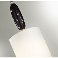 Подвесная люстра Odeon Light Pollen 5424/1