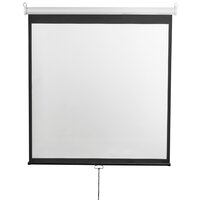 Проекционный экран Digis Optimal-D 206x209 DSOD-1105