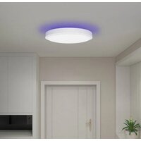 Светильник-тарелка Yeelight Arwen Ceiling Light 550S YLXD013-A