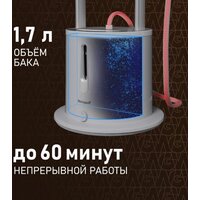 Отпариватель Weissgauff WGS 251 DW Steam Iron Pro
