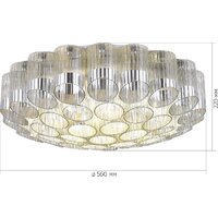 Припотолочная люстра ST Luce SL1662.102.19