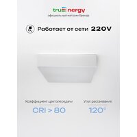Припотолочная люстра TruEnergy 11166