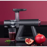 Соковыжималка Rondell RDE-1503