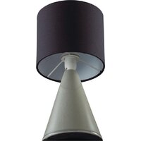 Настольная лампа Lumion Segi 8132/1T