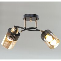 Люстра средней высоты Aitin Pro НПБ 02-2x60-101 9131/2 (золото/черный)
