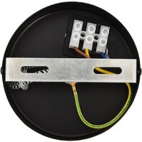 Подвесная люстра Lumion Tesla 8365/1A