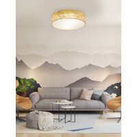 Припотолочная люстра Eglo Viserbella 97641