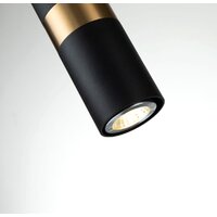 Подвесная люстра Favourite Light Point 2997-1P