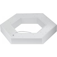 Подвесная люстра ЭРА Geometria Hexagon SPO-124-W-40K-051 Б0058882