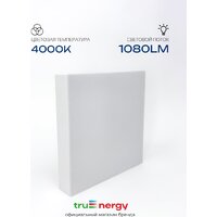 Припотолочная люстра TruEnergy 11167