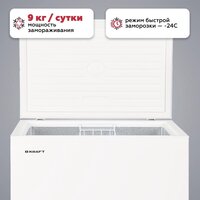 Морозильный ларь Kraft BD(W)-230RX