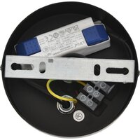 Подвесная люстра Lumion Camomile 8379/10L