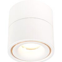Припотолочная люстра ST Luce ST652 ST652.532.12