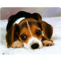Коврик для мыши Defender Silk (50706)