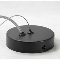 Подвесная люстра Lussole Loft Buffalo GRLSP-9931