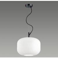 Подвесная люстра Odeon Light Roofi 4754/1