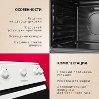 Кухонная плита Hansa FCGW510009H